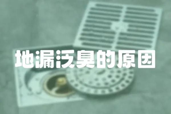 地漏泛臭的原因