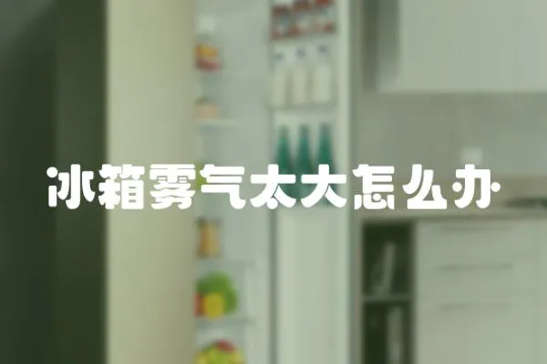 冰箱霧氣太大怎么辦