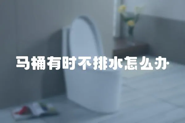 馬桶有時不排水怎么辦