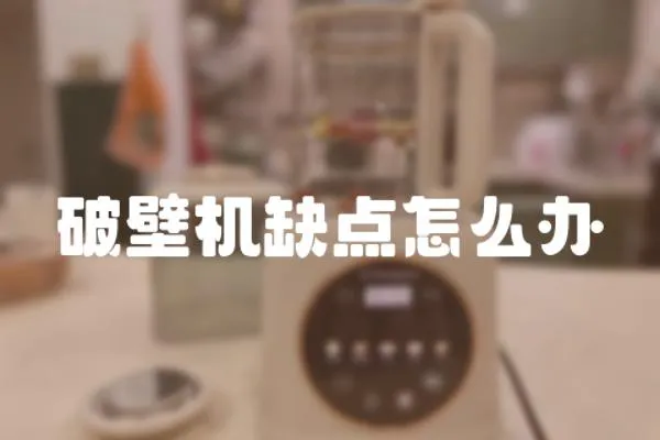 破壁機缺點怎么辦