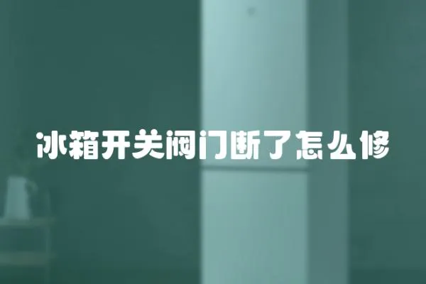 冰箱開(kāi)關(guān)閥門斷了怎么修