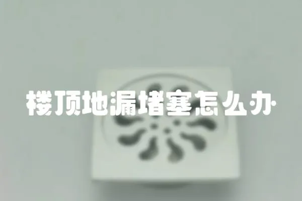 樓頂地漏堵塞怎么辦