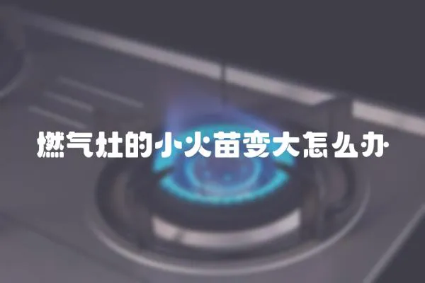 燃氣灶的小火苗變大怎么辦
