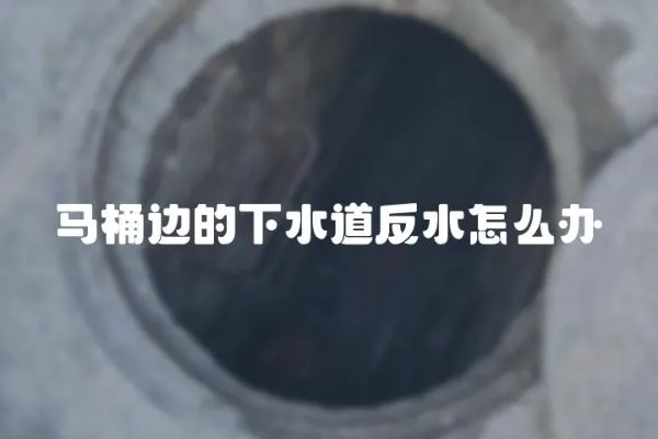馬桶邊的下水道反水怎么辦