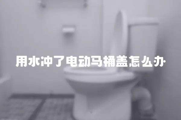 用水沖了電動馬桶蓋怎么辦