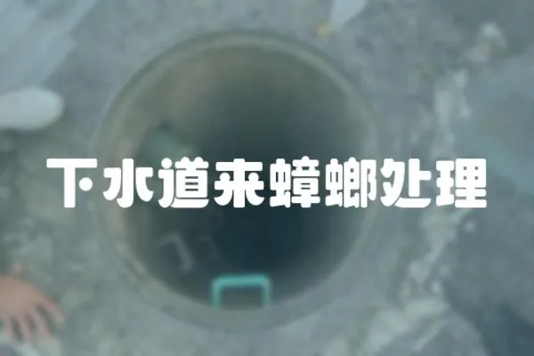 下水道來蟑螂處理