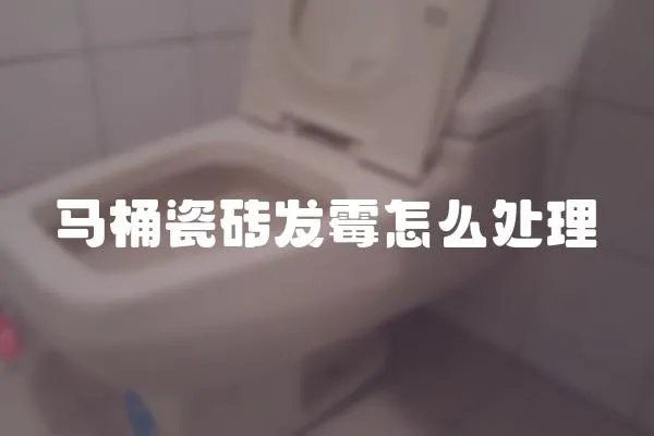 馬桶瓷磚發(fā)霉怎么處理