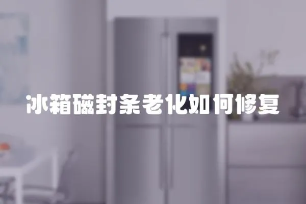 冰箱磁封条老化如何修复