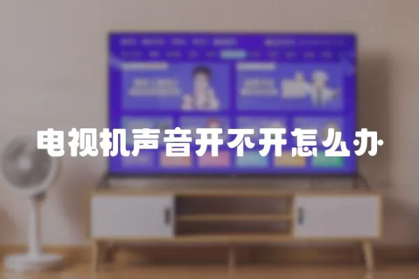 電視機聲音開不開怎么辦