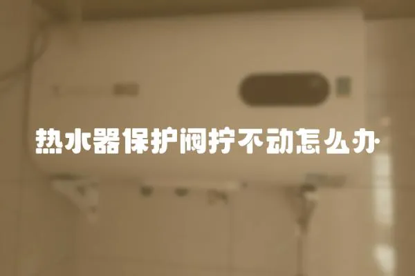 熱水器保護(hù)閥擰不動怎么辦