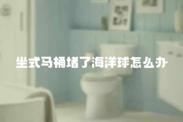 坐式馬桶堵了海洋球怎么辦