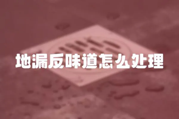 地漏反味道怎么處理