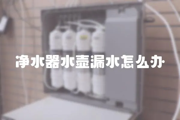 凈水器水壺漏水怎么辦