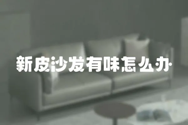 新皮沙發有味怎么辦