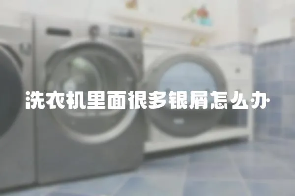 洗衣機里面很多銀屑怎么辦