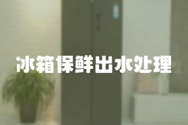 冰箱保鮮出水處理