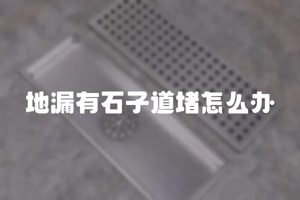 地漏有石子道堵怎么辦