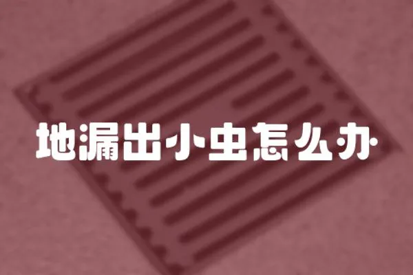地漏出小蟲怎么辦