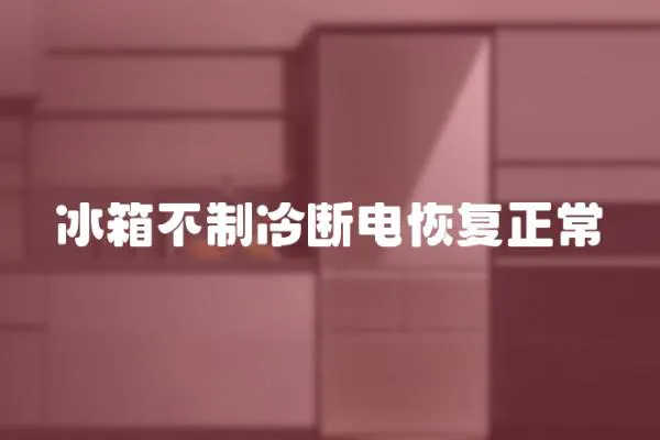 冰箱不制冷斷電恢復(fù)正常
