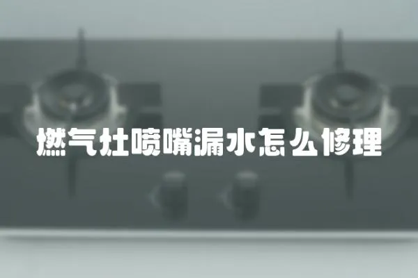 燃?xì)庠顕娮炻┧趺葱蘩? loading=