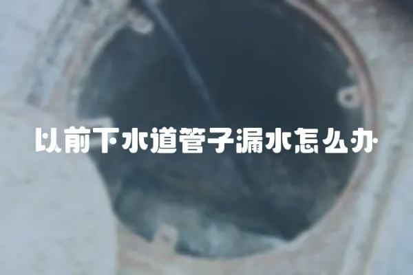 以前下水道管子漏水怎么辦