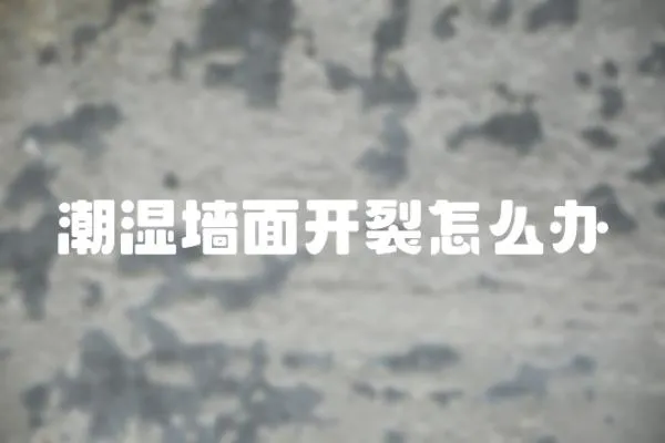 潮濕墻面開(kāi)裂怎么辦