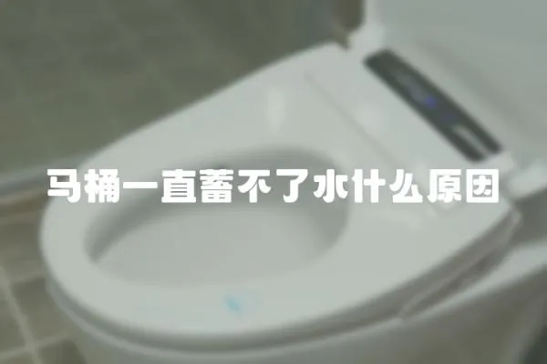 馬桶一直蓄不了水什么原因