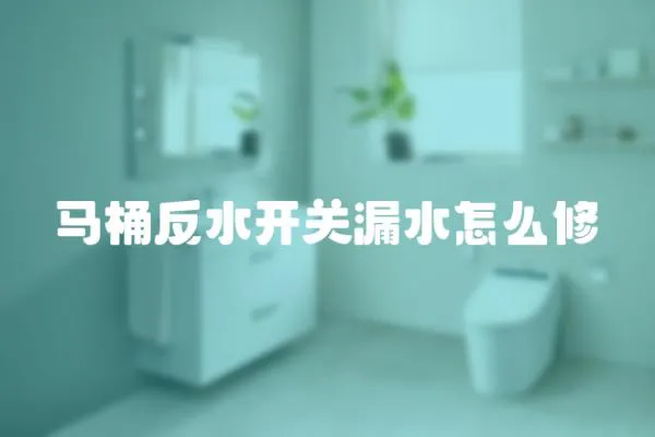 马桶反水开关漏水怎么修