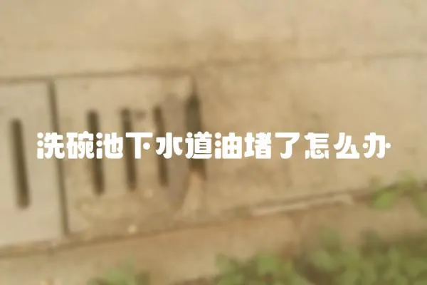 洗碗池下水道油堵了怎么辦
