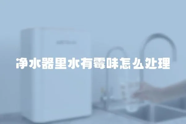 凈水器里水有霉味怎么處理