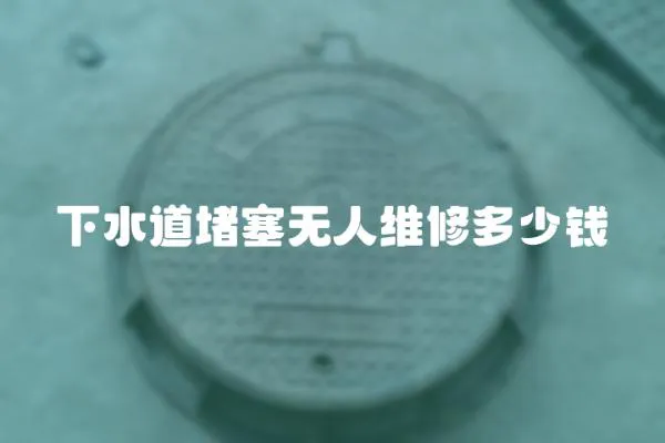 下水道堵塞無人維修多少錢