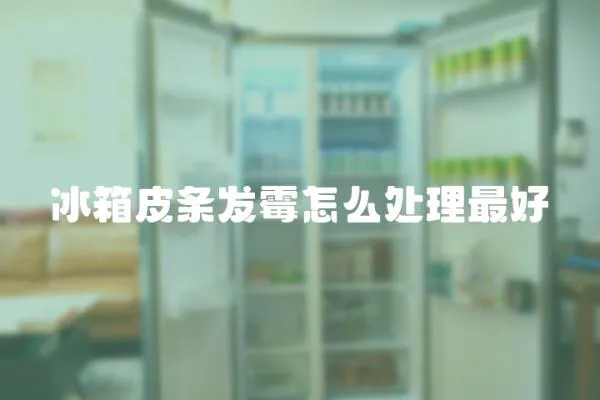 冰箱皮條發霉怎么處理最好