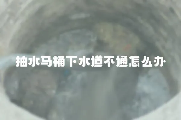 抽水馬桶下水道不通怎么辦