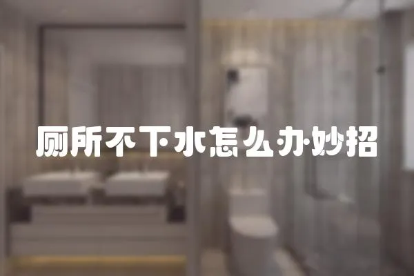 廁所不下水怎么辦妙招