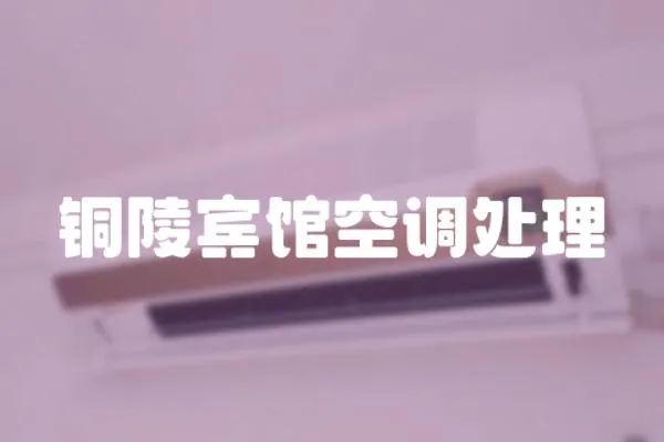 銅陵賓館空調(diào)處理