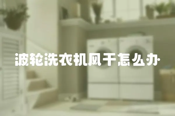 波輪洗衣機風干怎么辦