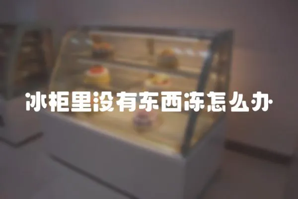 冰柜里沒有東西凍怎么辦