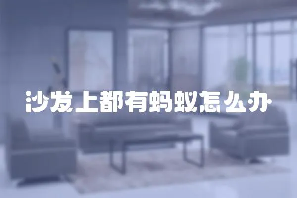 沙發上都有螞蟻怎么辦