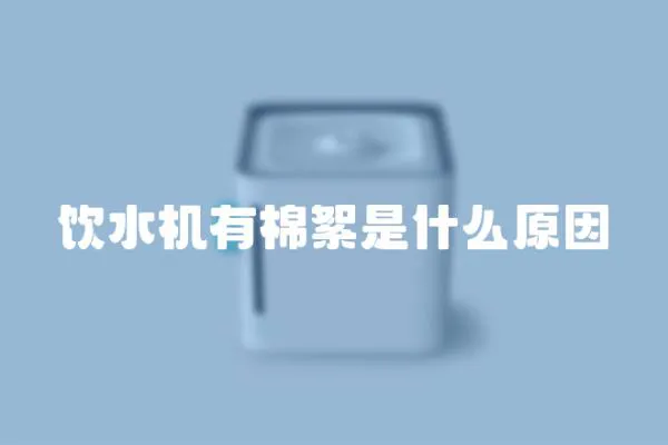 飲水機有棉絮是什么原因