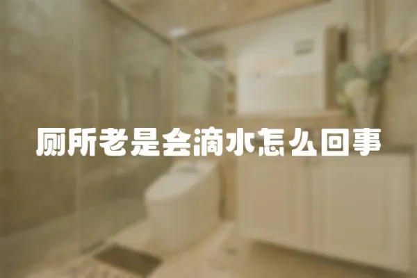 廁所老是會滴水怎么回事