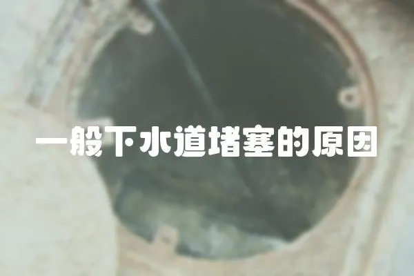 一般下水道堵塞的原因