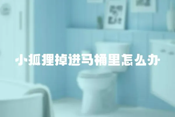 小狐貍掉進馬桶里怎么辦