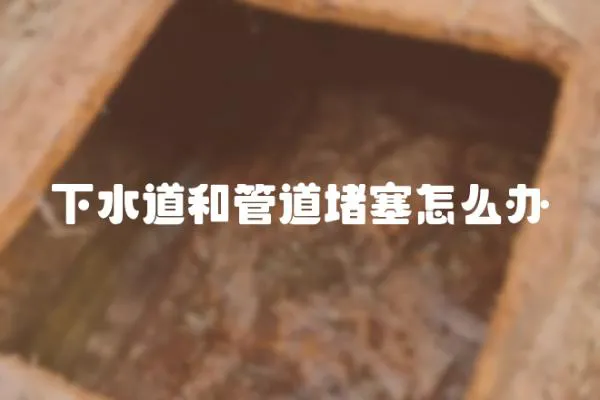 下水道和管道堵塞怎么辦