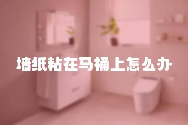 墻紙粘在馬桶上怎么辦