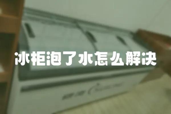 冰柜泡了水怎么解決