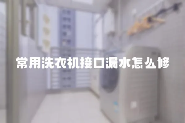 常用洗衣機接口漏水怎么修