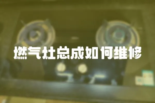 燃?xì)庠羁偝扇绾尉S修