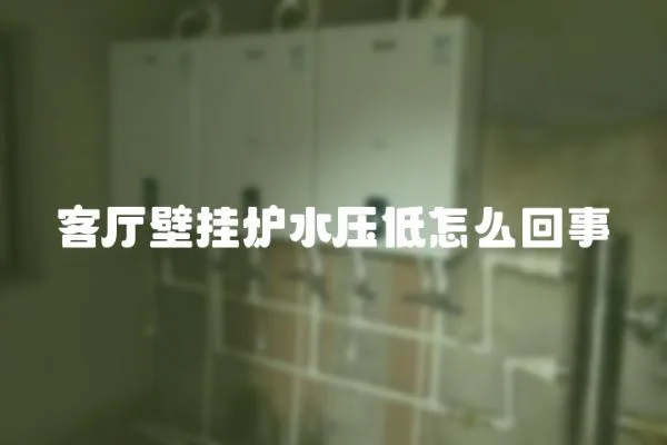 客廳壁掛爐水壓低怎么回事