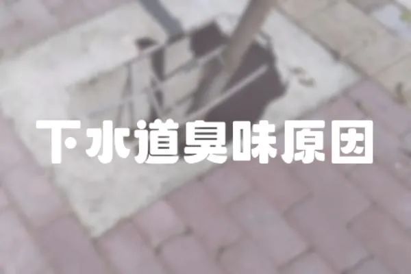 下水道臭味原因