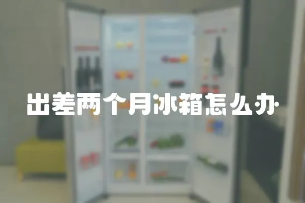 出差兩個月冰箱怎么辦